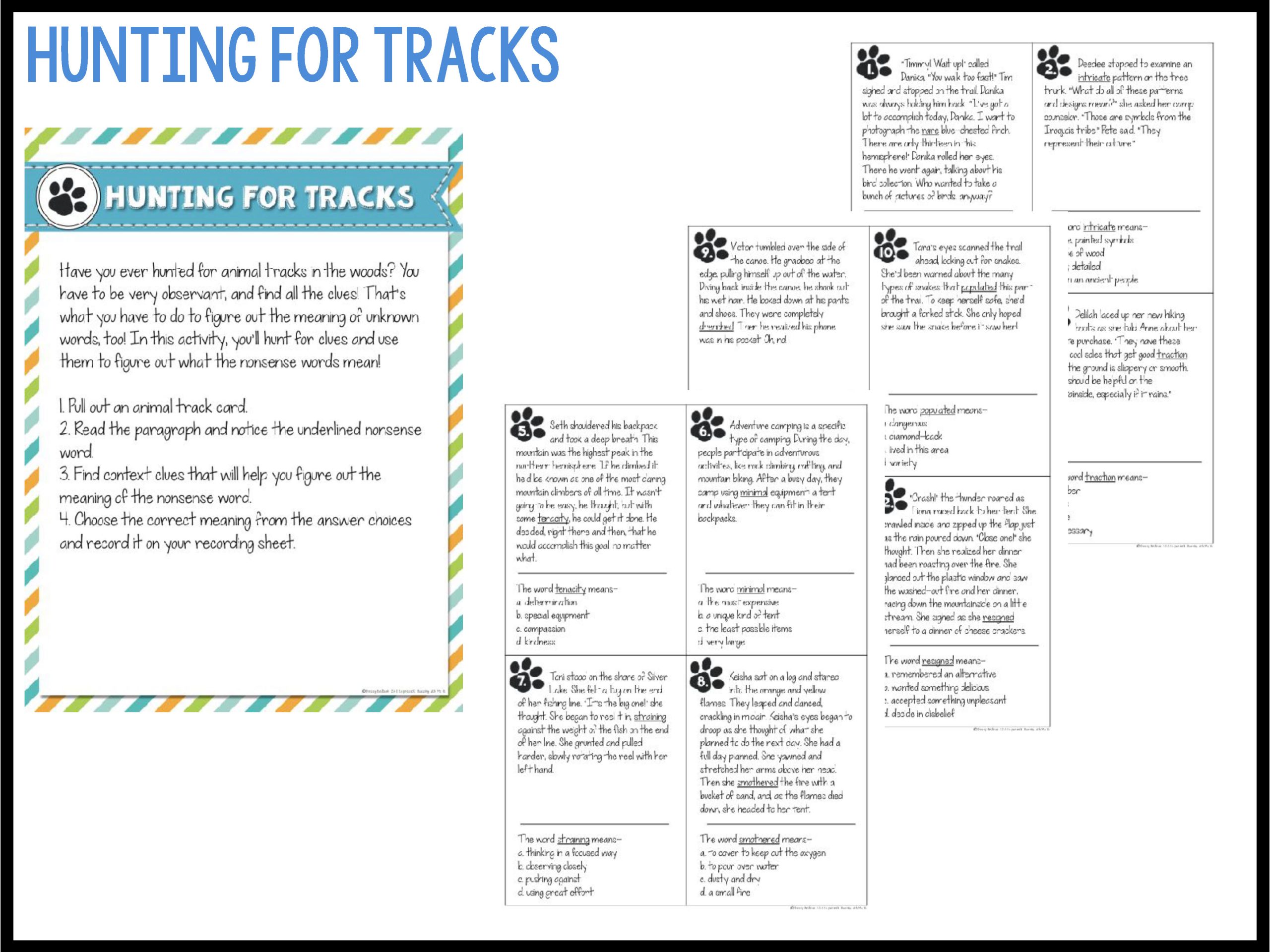 Camp Reading Ready Test Prep Bundle - Printable and Google Slides - Image 25