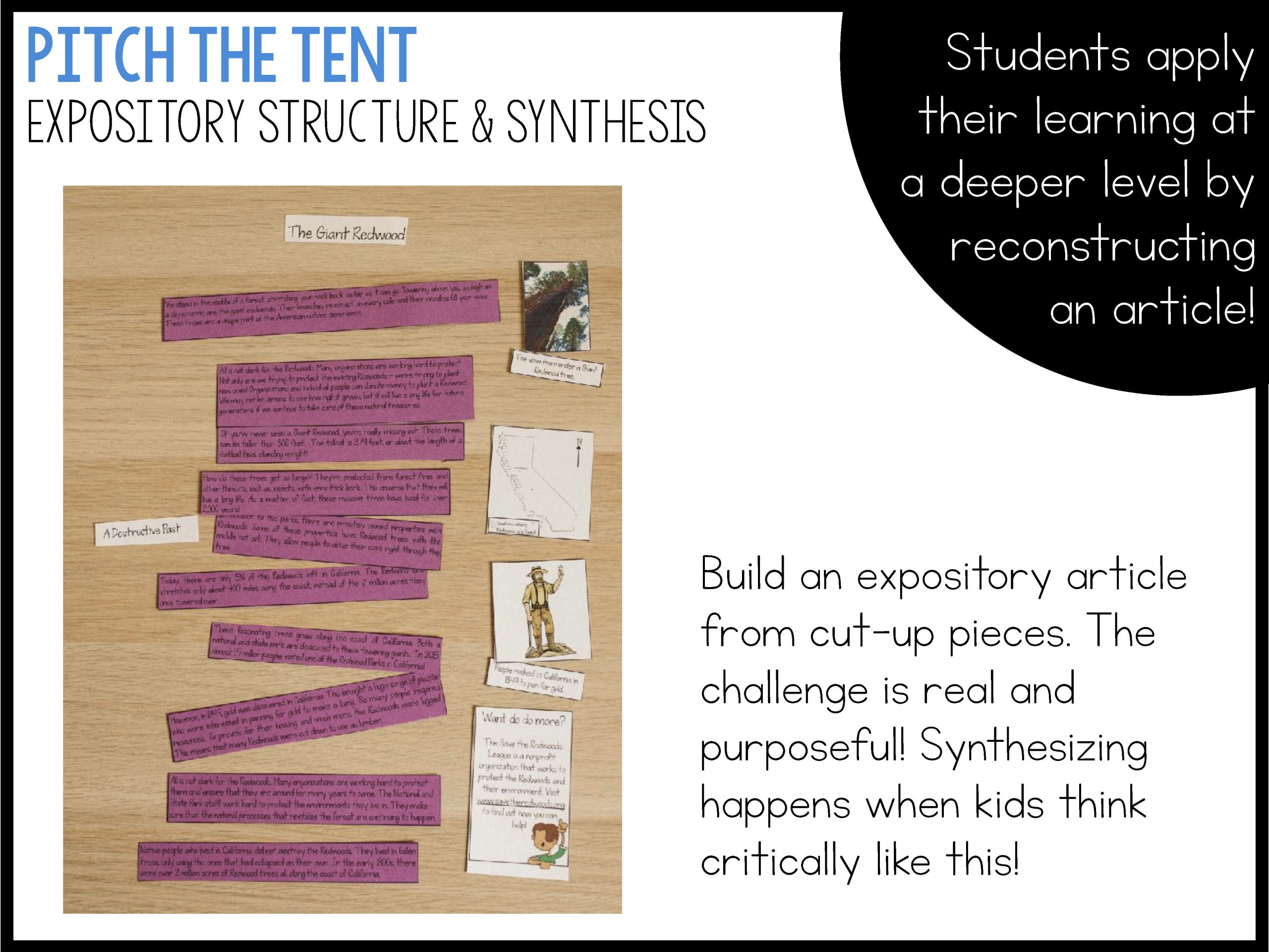 Camp Reading Ready Test Prep Bundle - Printable and Google Slides - Image 27