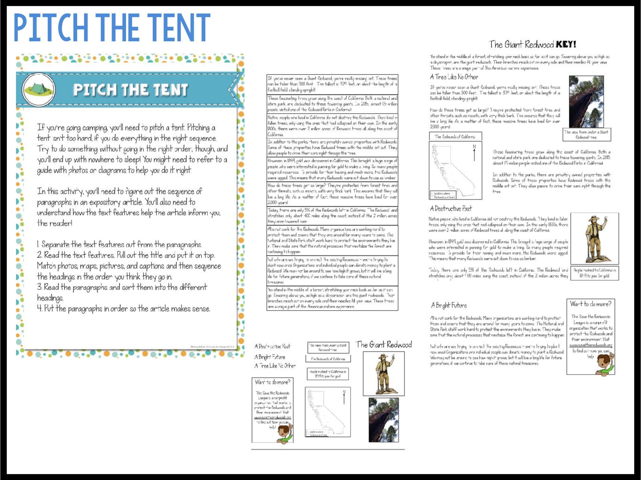 Camp Reading Ready Test Prep Bundle - Printable and Google Slides - Image 21