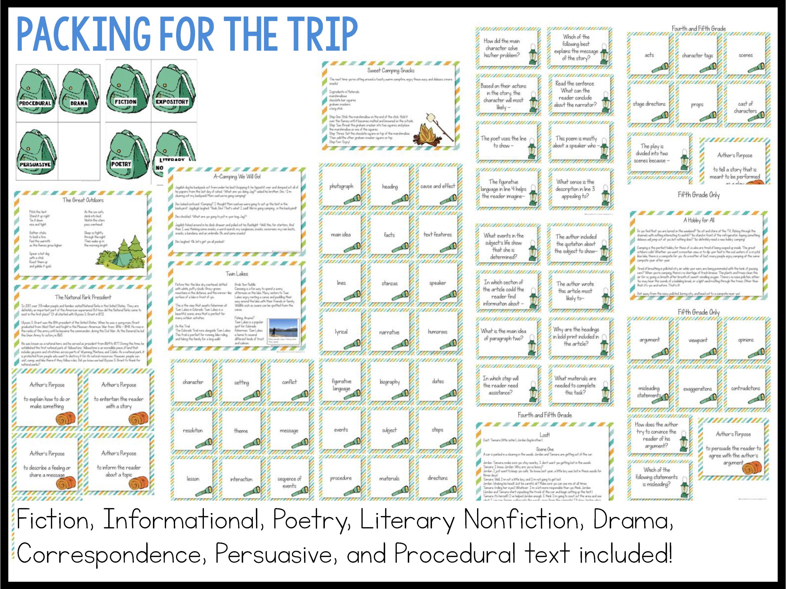 Camp Reading Ready Test Prep Bundle - Printable and Google Slides - Image 35
