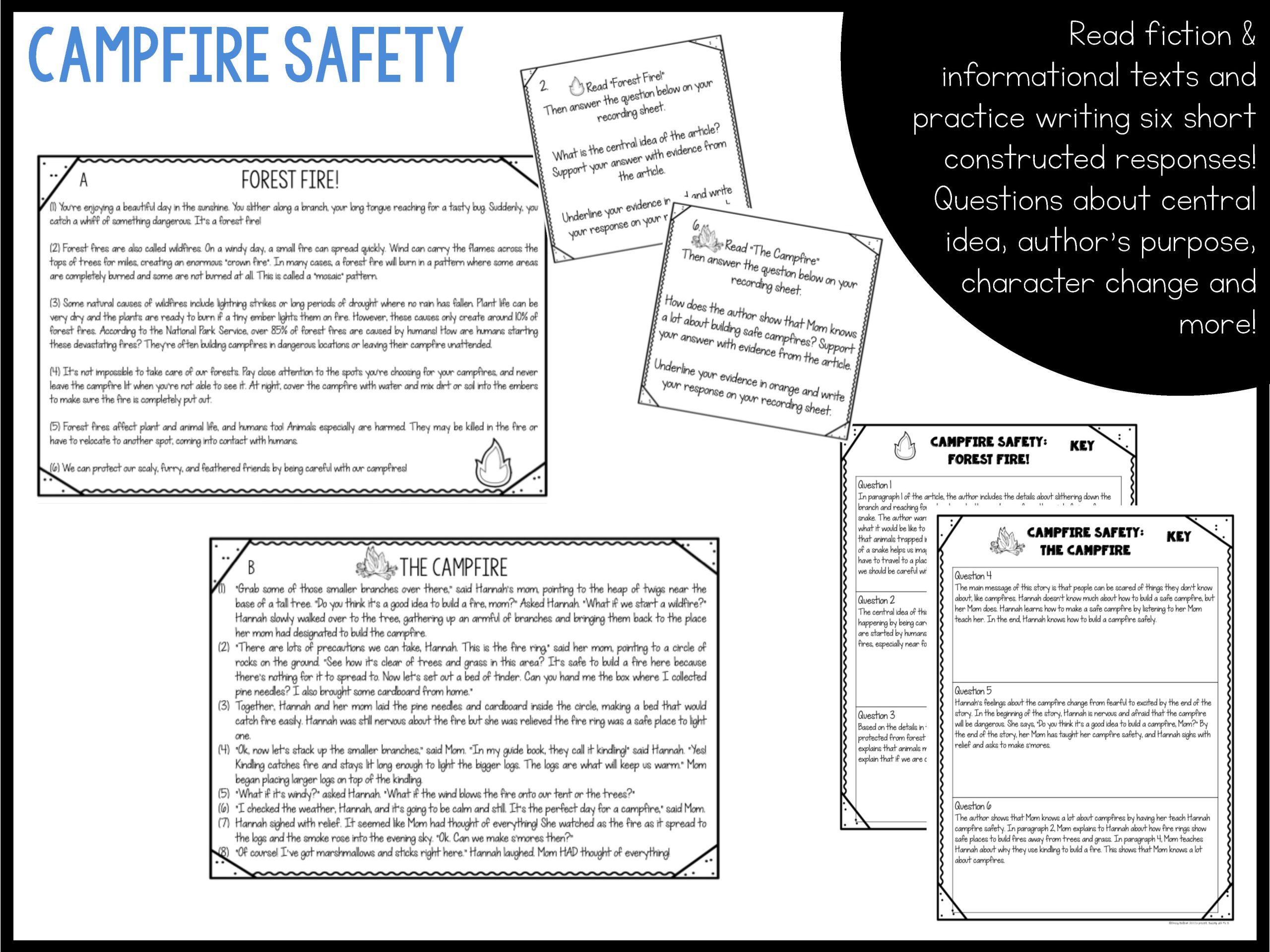 Camp Reading Ready Test Prep Bundle - Printable and Google Slides - Image 22
