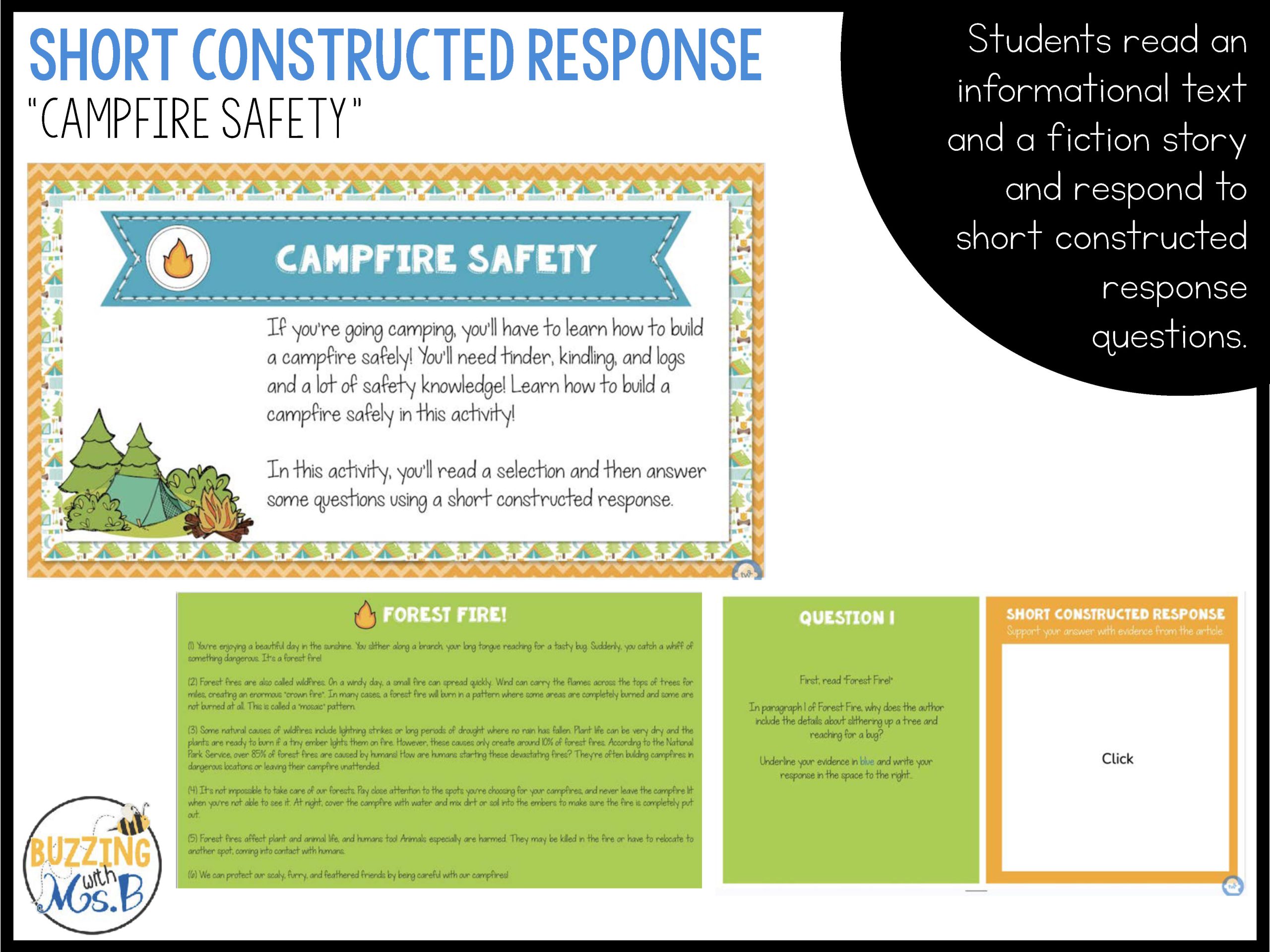 Camp Reading Ready Test Prep Bundle - Printable and Google Slides - Image 33