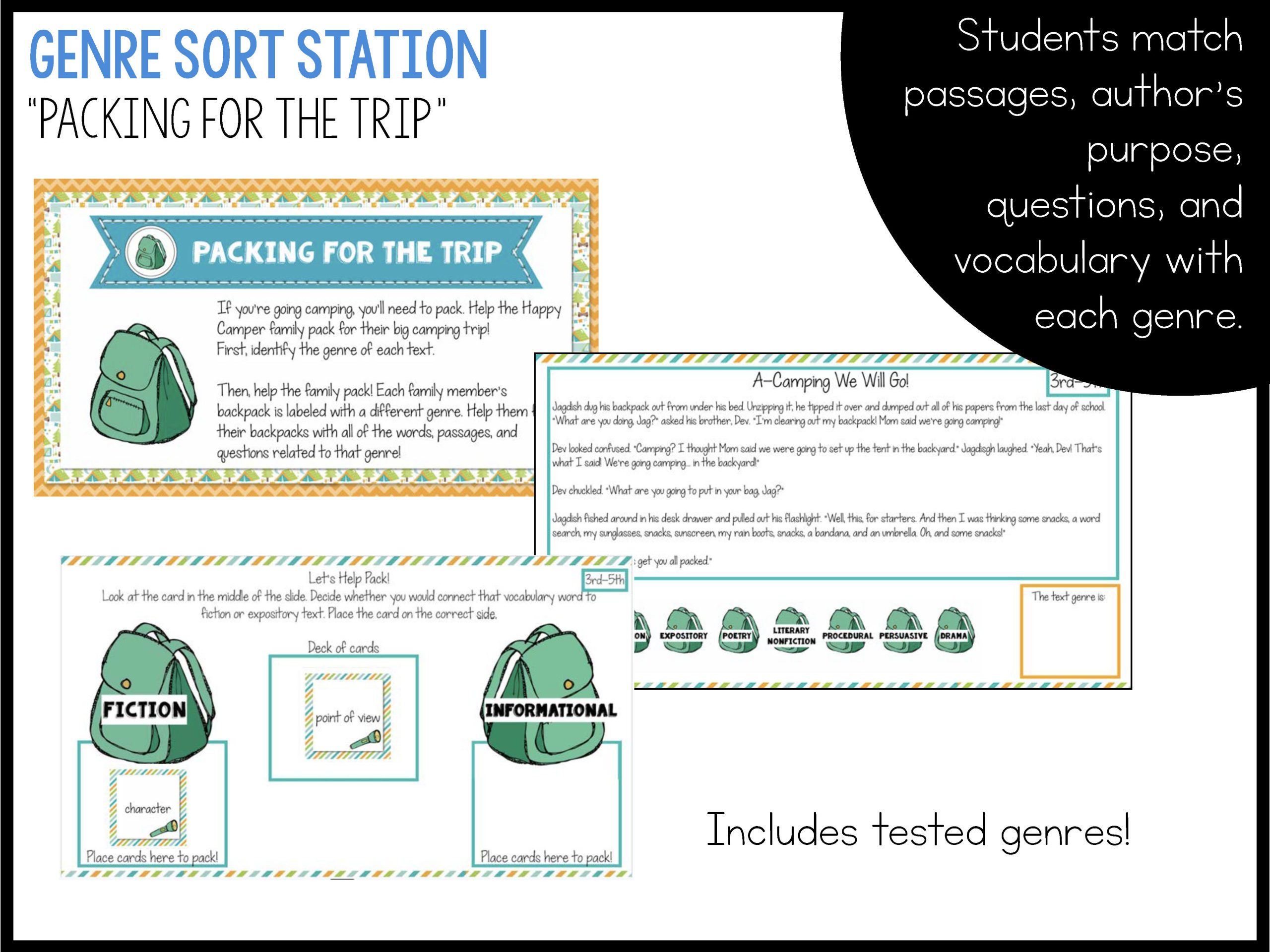 Camp Reading Ready Test Prep Bundle - Printable and Google Slides - Image 29