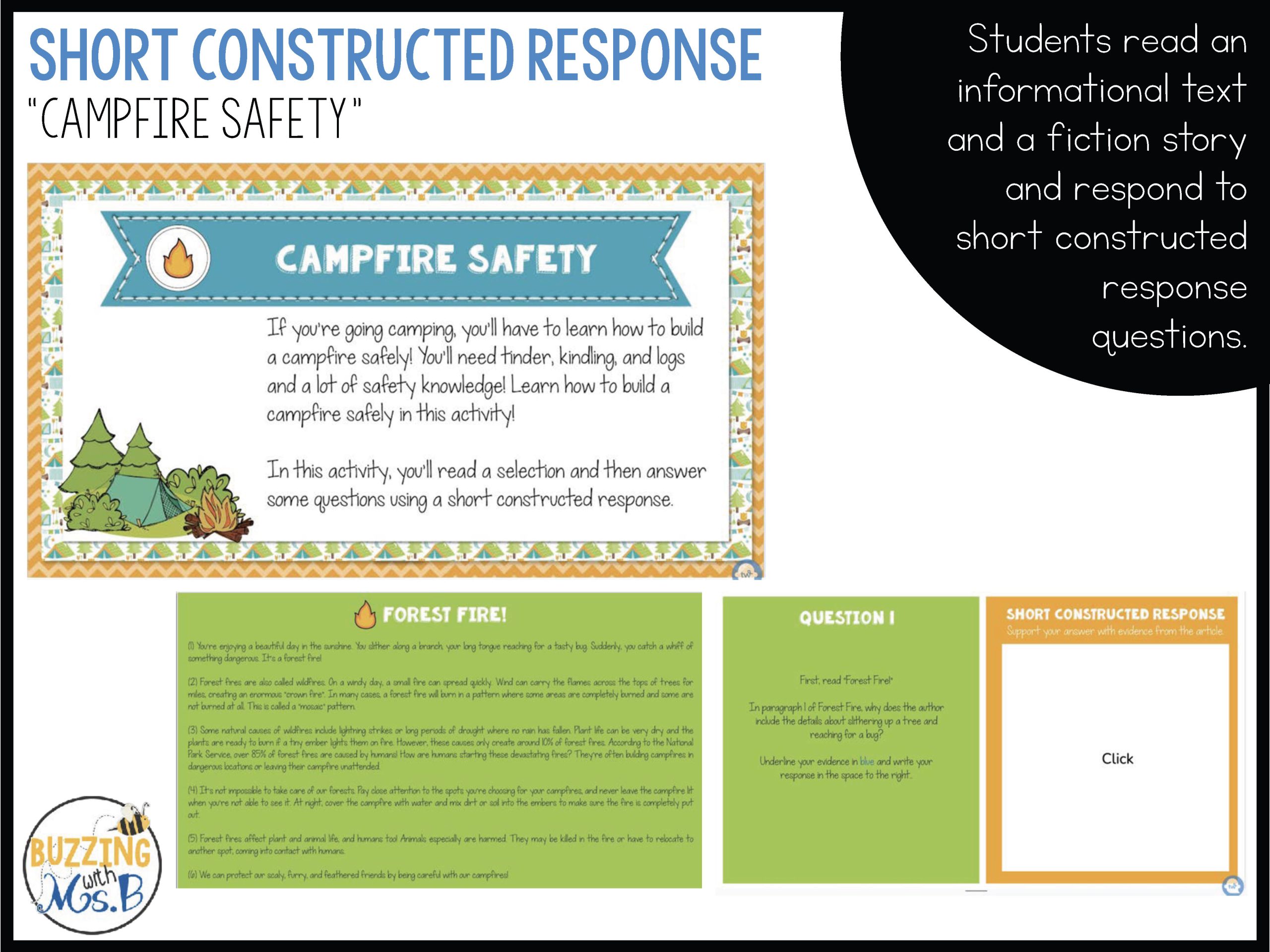 Camp Reading Ready Texas RLA Reading Test Prep & Review for Google Slides - Image 17