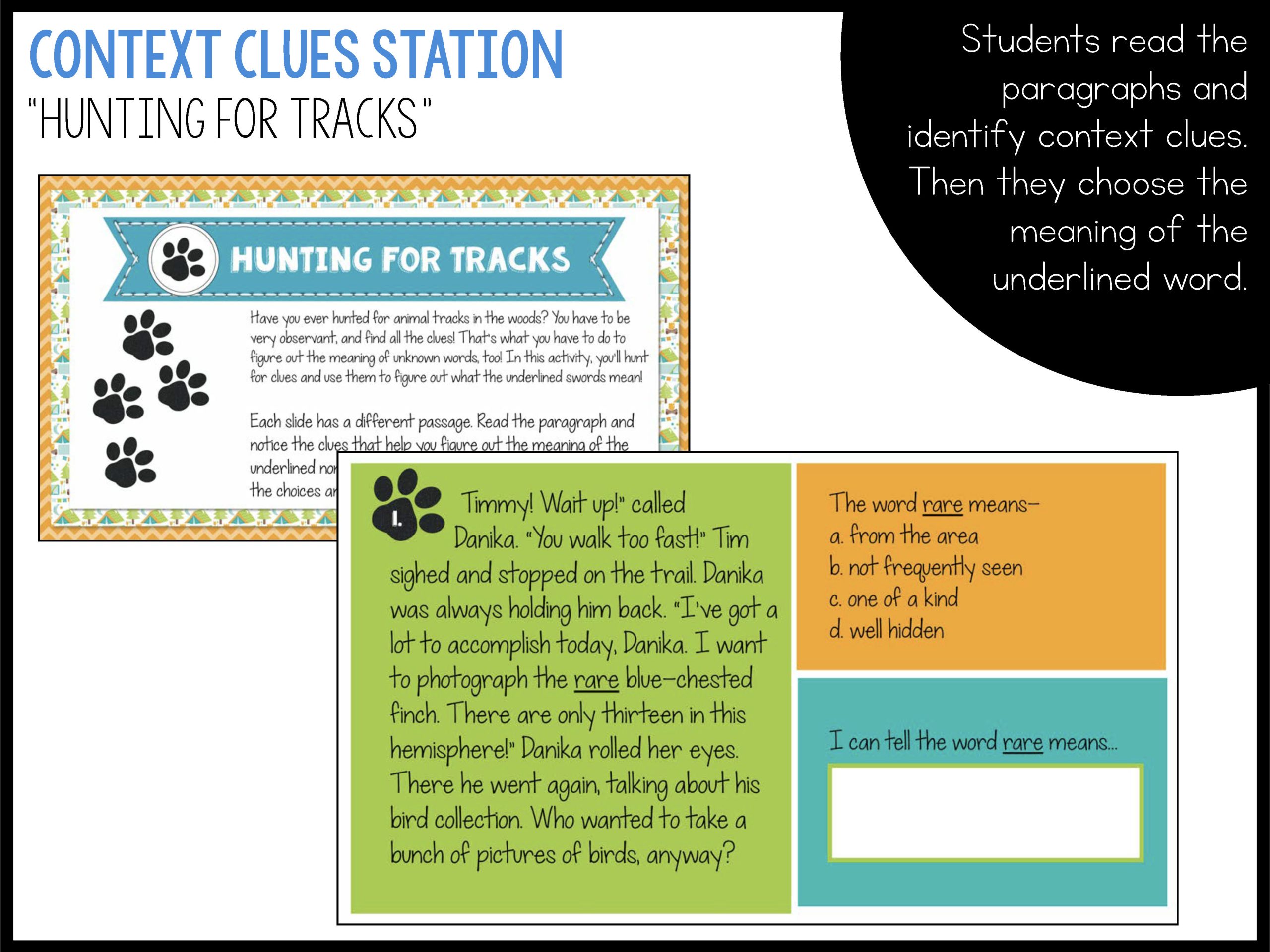 Texas RLA Reading Test Prep & Review - Camp Reading Ready - Image 8