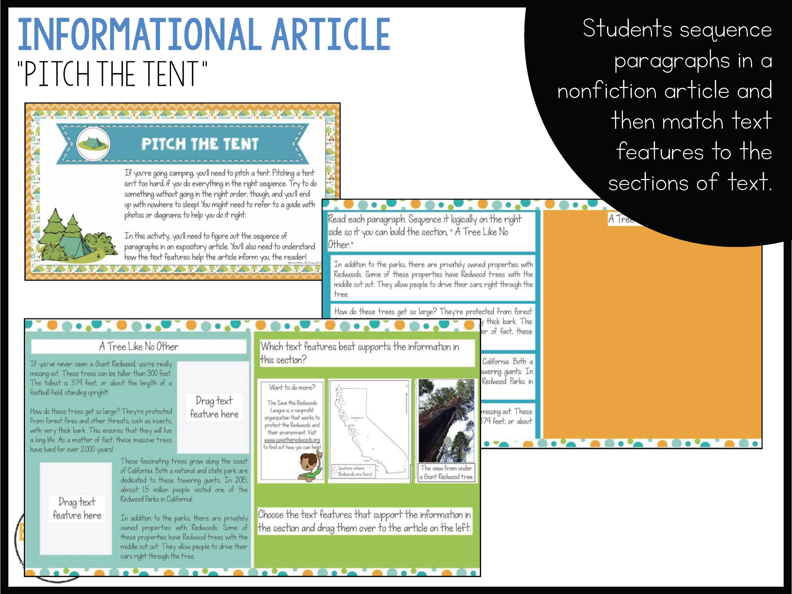 Camp Reading Ready Texas RLA Reading Test Prep & Review for Google Slides - Image 2