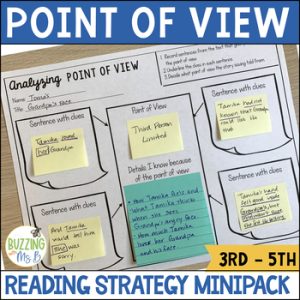 Point of View Reading Comprehension Skill Lessons