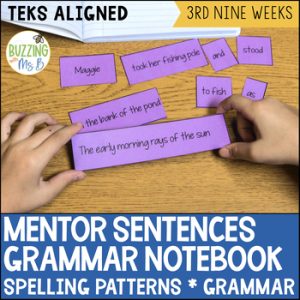 Fourth Grade Mentor Sentences for Spelling - TEKS aligned