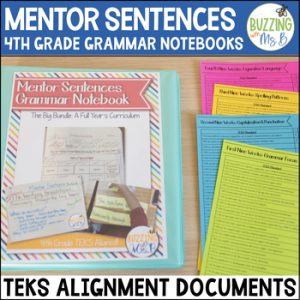Mentor Sentences Grammar Notebook - NEW TEKS and Texas Writing Test Alignment