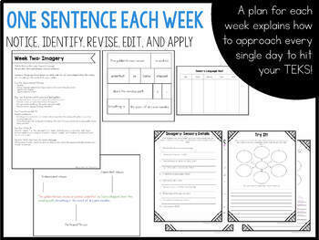 Fourth Grade Mentor Sentences for Author's Craft - TEKS aligned - Image 3