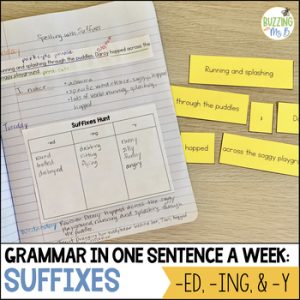 Spelling with suffixes -ed, -ing, -y - a mentor sentence grammar lesson