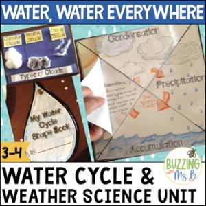 Water Cycle Activities, Word Wall Words, Worksheets and more