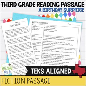 Third Grade Reading Passage for Fiction - Cedric's Big Day (a birthday surprise)