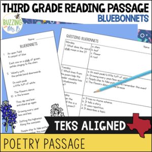Third Grade Reading Passage for Poetry: The Bluebonnets