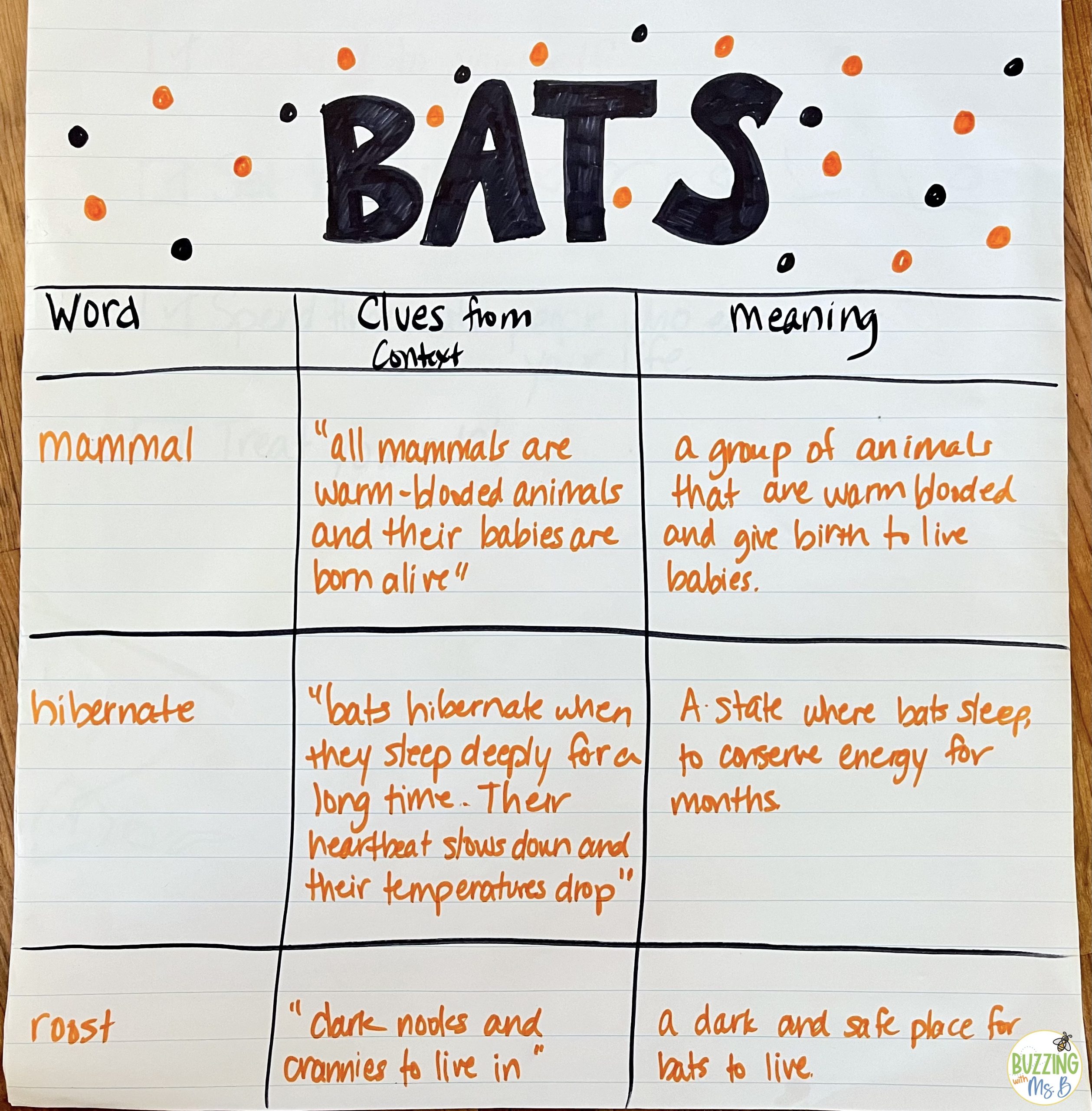 Bats Vocabulary Context Clues
