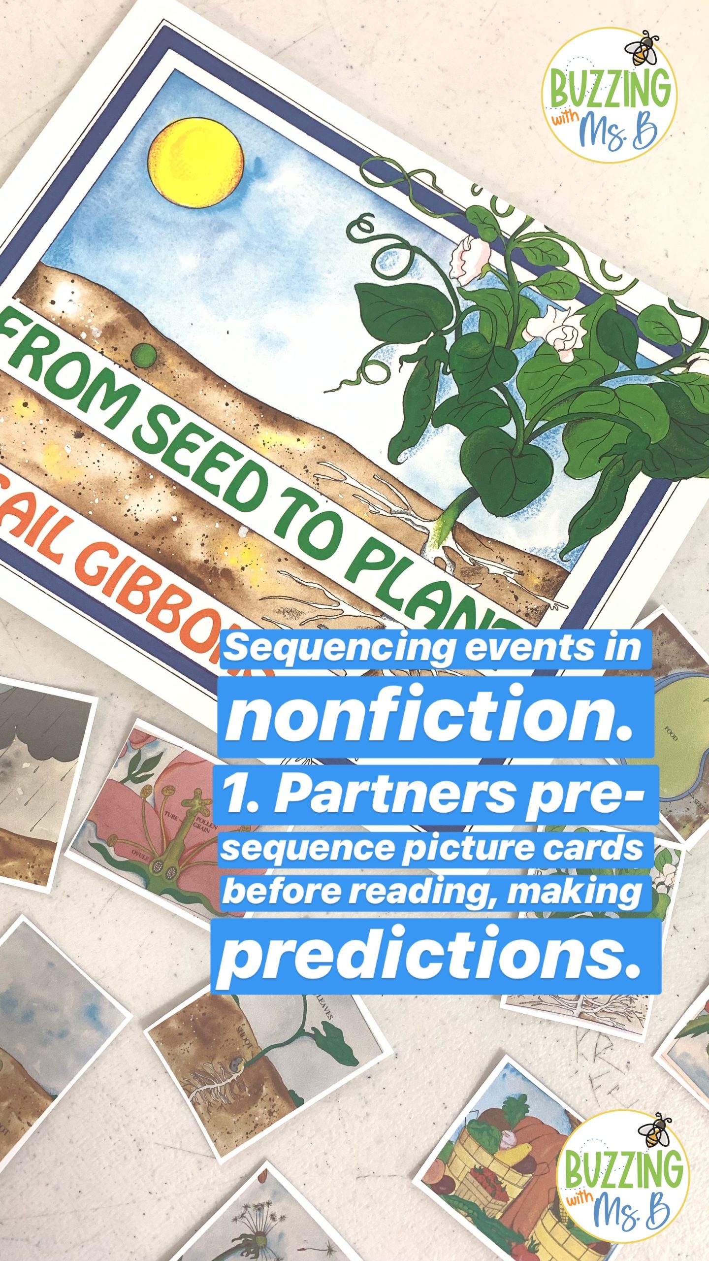 making picture predictions