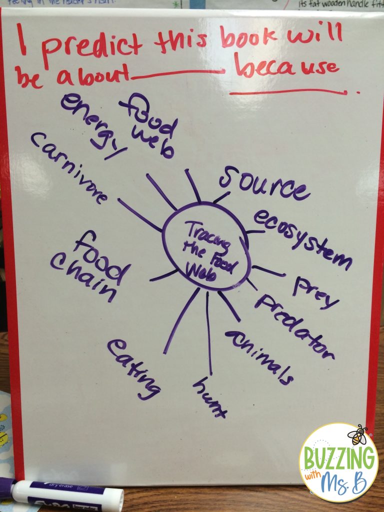 vocabulary web for nonfiction texts