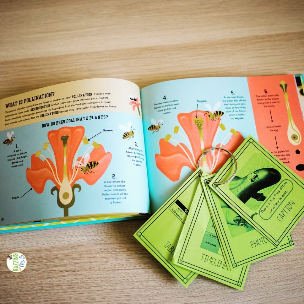 nonfiction text features signs to promote discussion