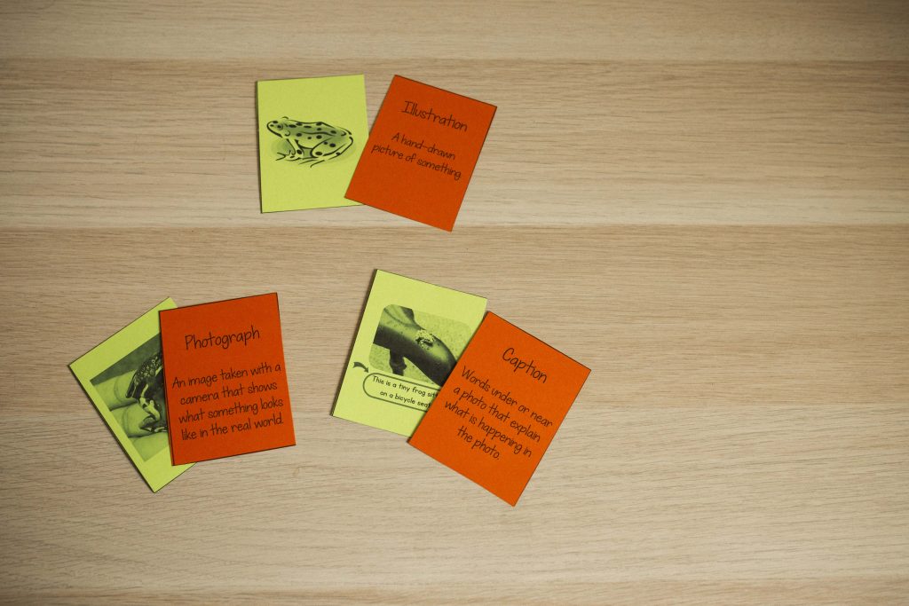 Gone Fishin' Texas Reading Test Prep Activity