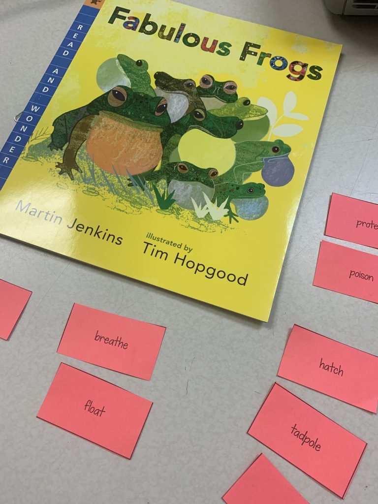 Vocabulary sorting to practice new words