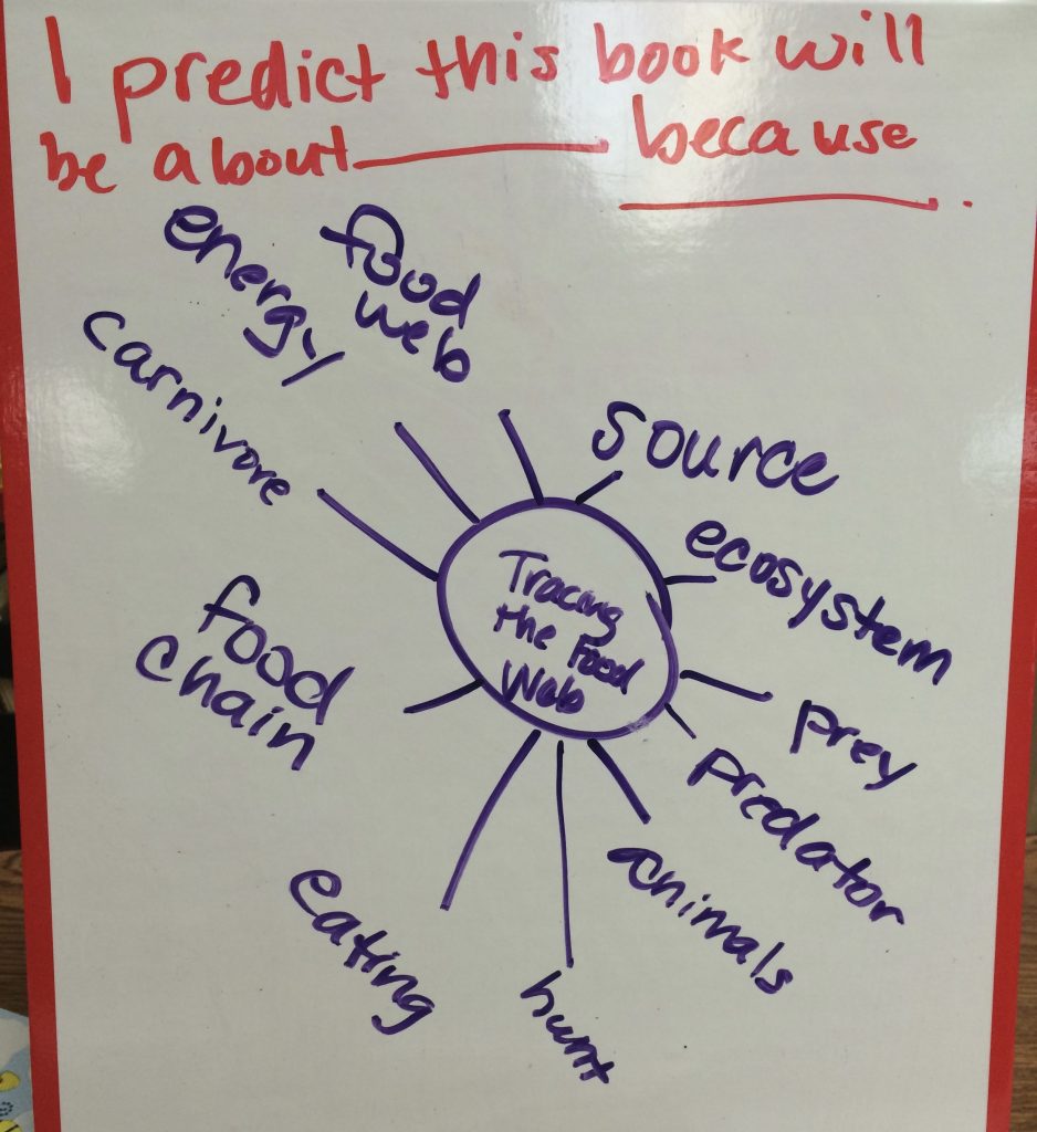 making predictions using vocabulary