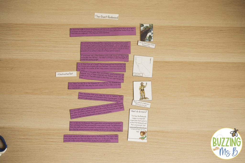 cut up and construct an article