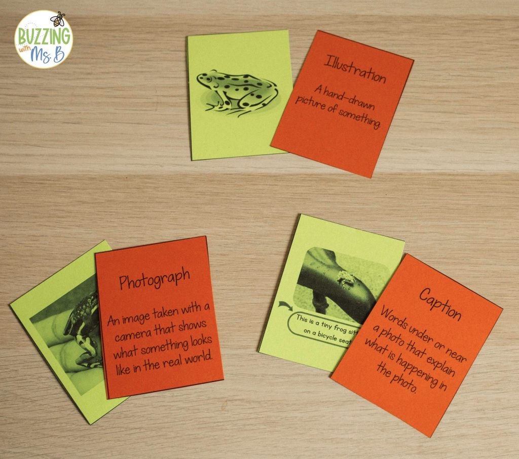 Vocabulary picture match