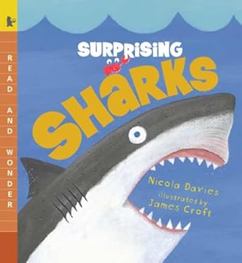 Summer picture book Surprising Sharks by Nicola Davies