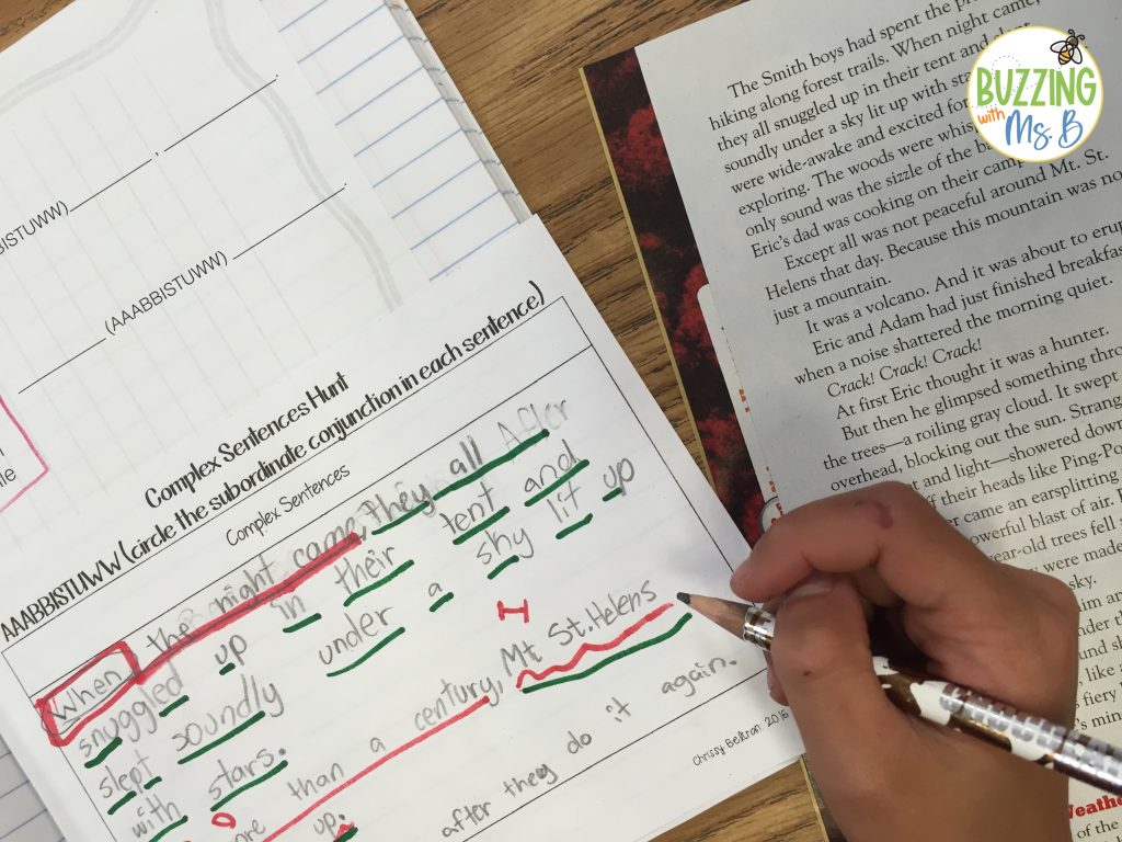 Complex sentence hunt activity