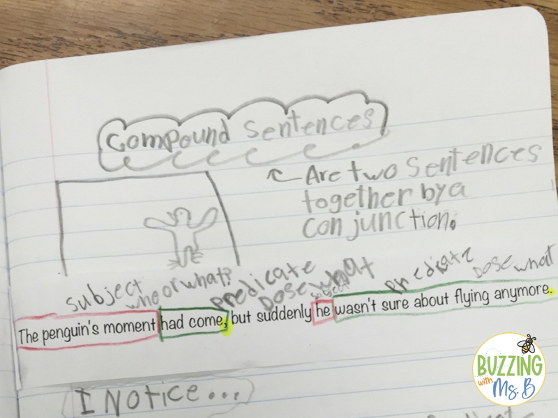 Labelling compound sentences