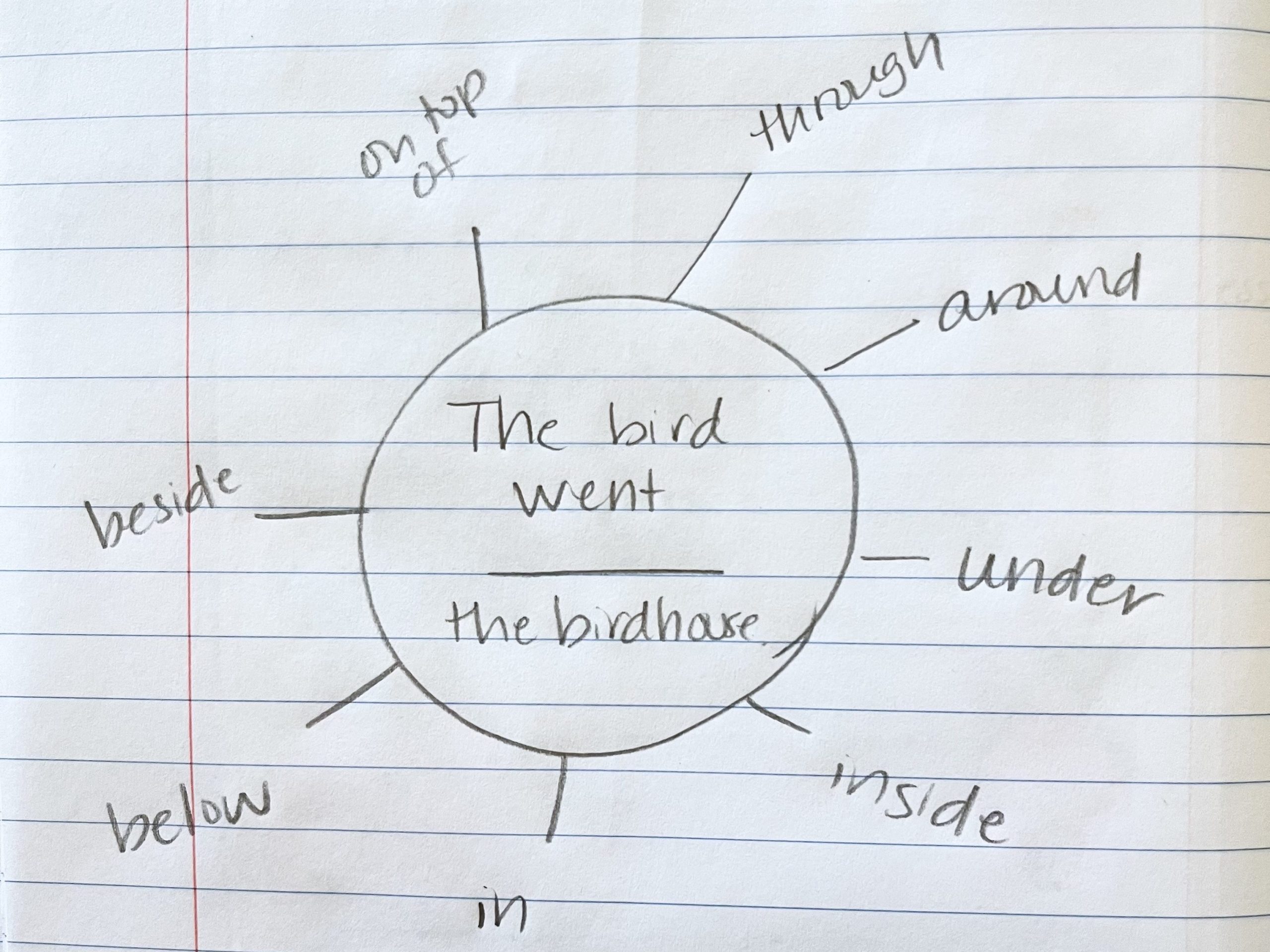 Grammar Web