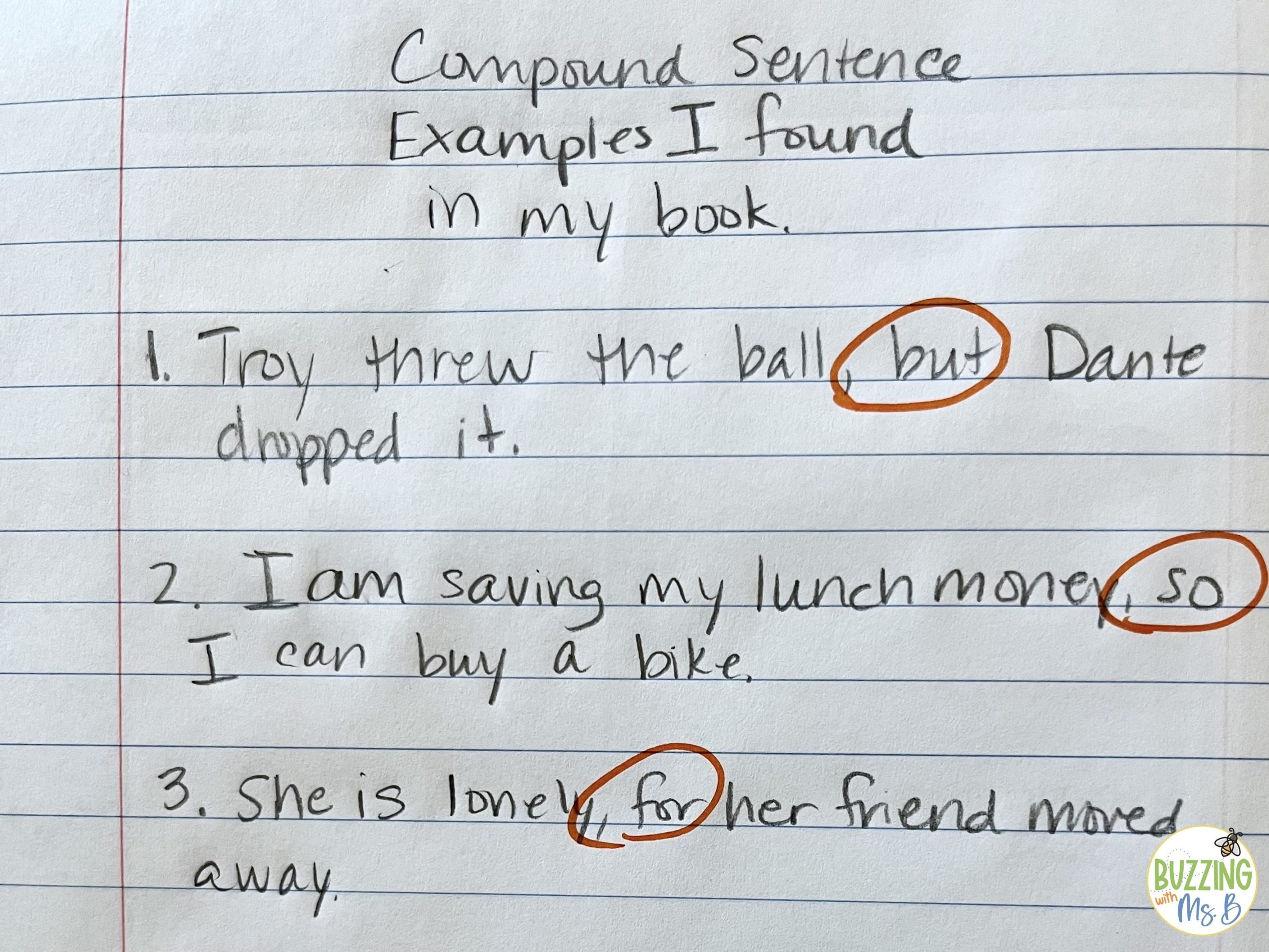 Grammar Hunt for Compound Sentences