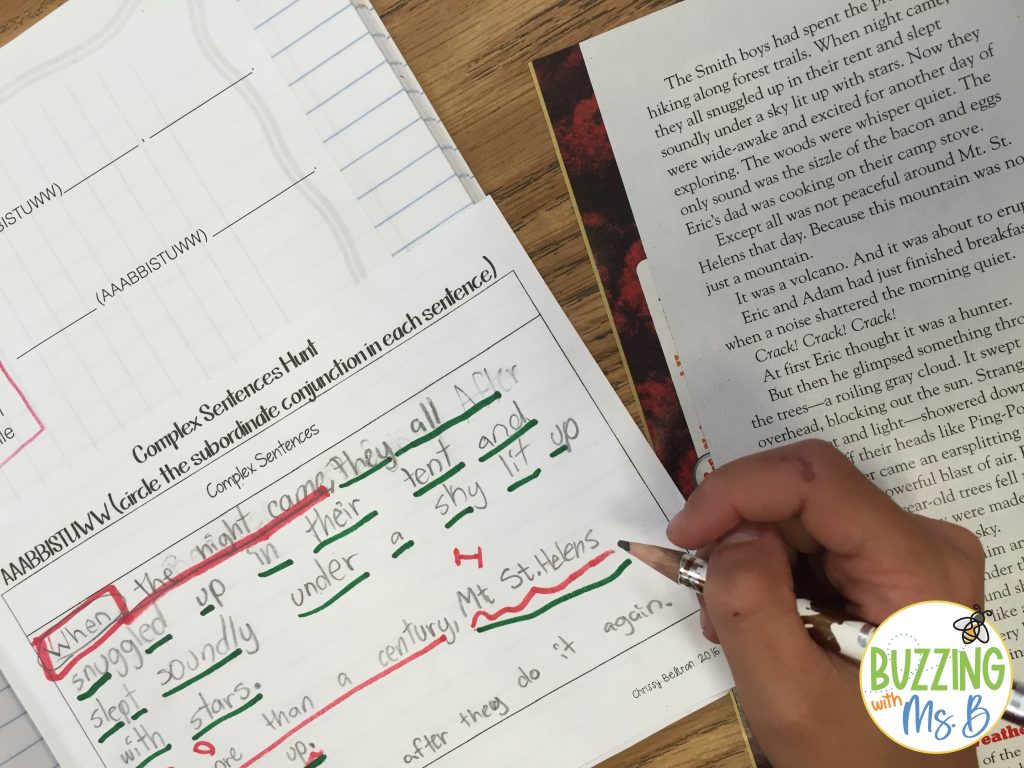 Grammar Hunt with Mentor Text