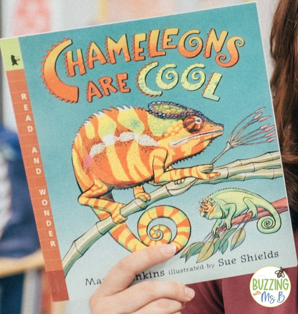 spring book ideas