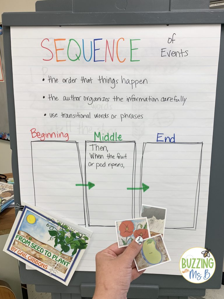 spring book ideas sequencing
