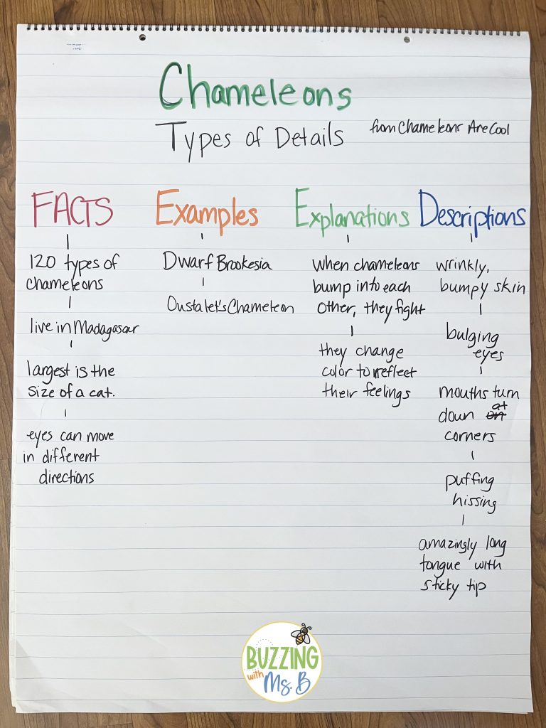 spring book ideas types of details