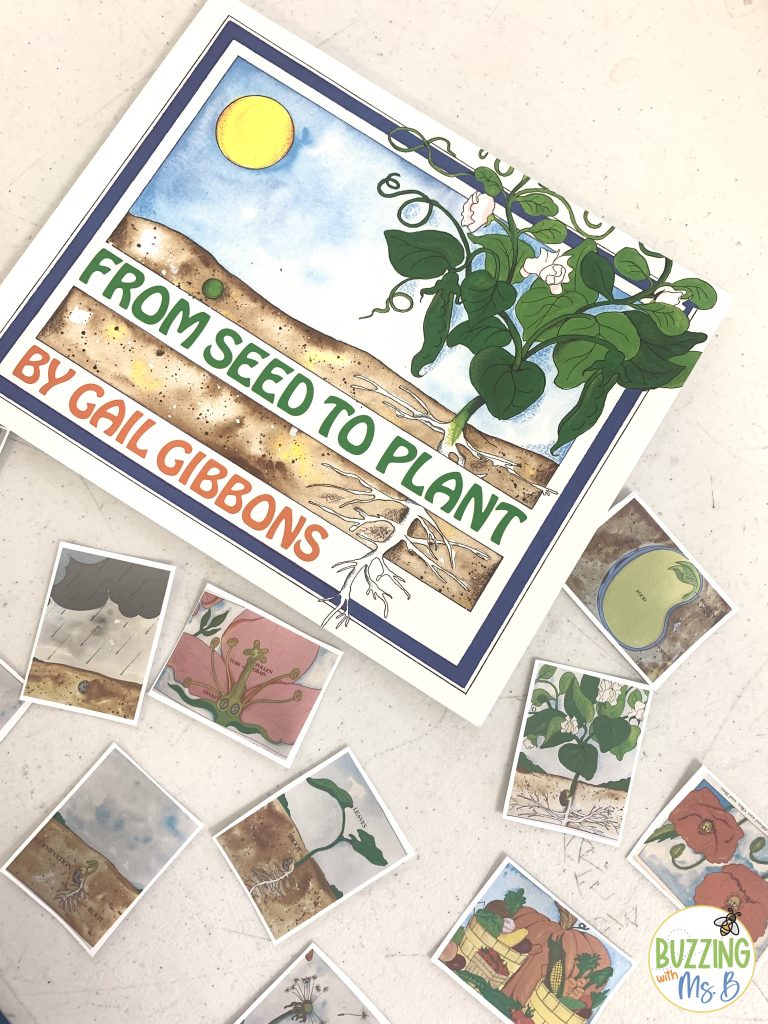 spring book ideas from seed to plant