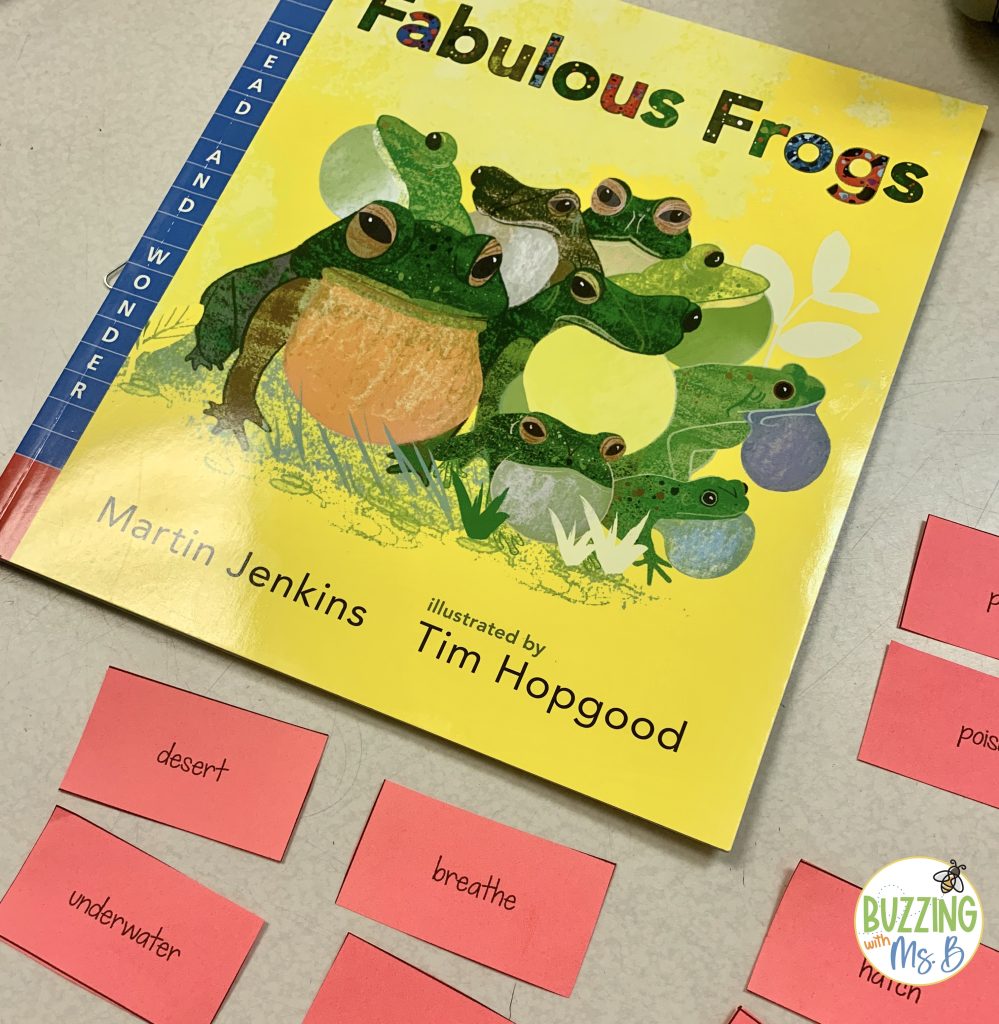 spring book ideas vocabulary