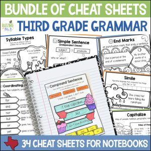 3rd Grade Grammar Cheat Sheets & Mini ELA Anchor Charts - Parts of Speech Notes