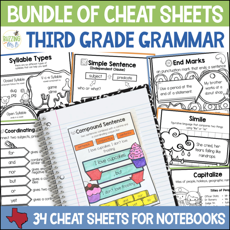 3rd Grade Grammar Cheat Sheets & Mini ELA Anchor Charts - Parts of Speech Notes