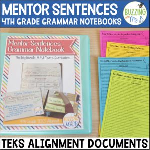 Mentor Sentences Grammar Notebook - NEW TEKS and Texas Writing Test Alignment