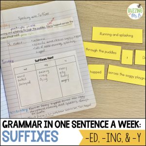Spelling with suffixes -ed, -ing, -y - a mentor sentence grammar lesson