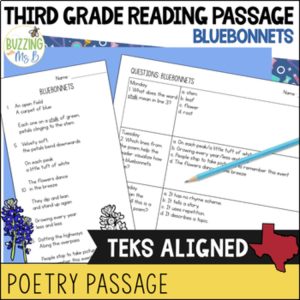 Third Grade Reading Passage for Poetry: The Bluebonnets